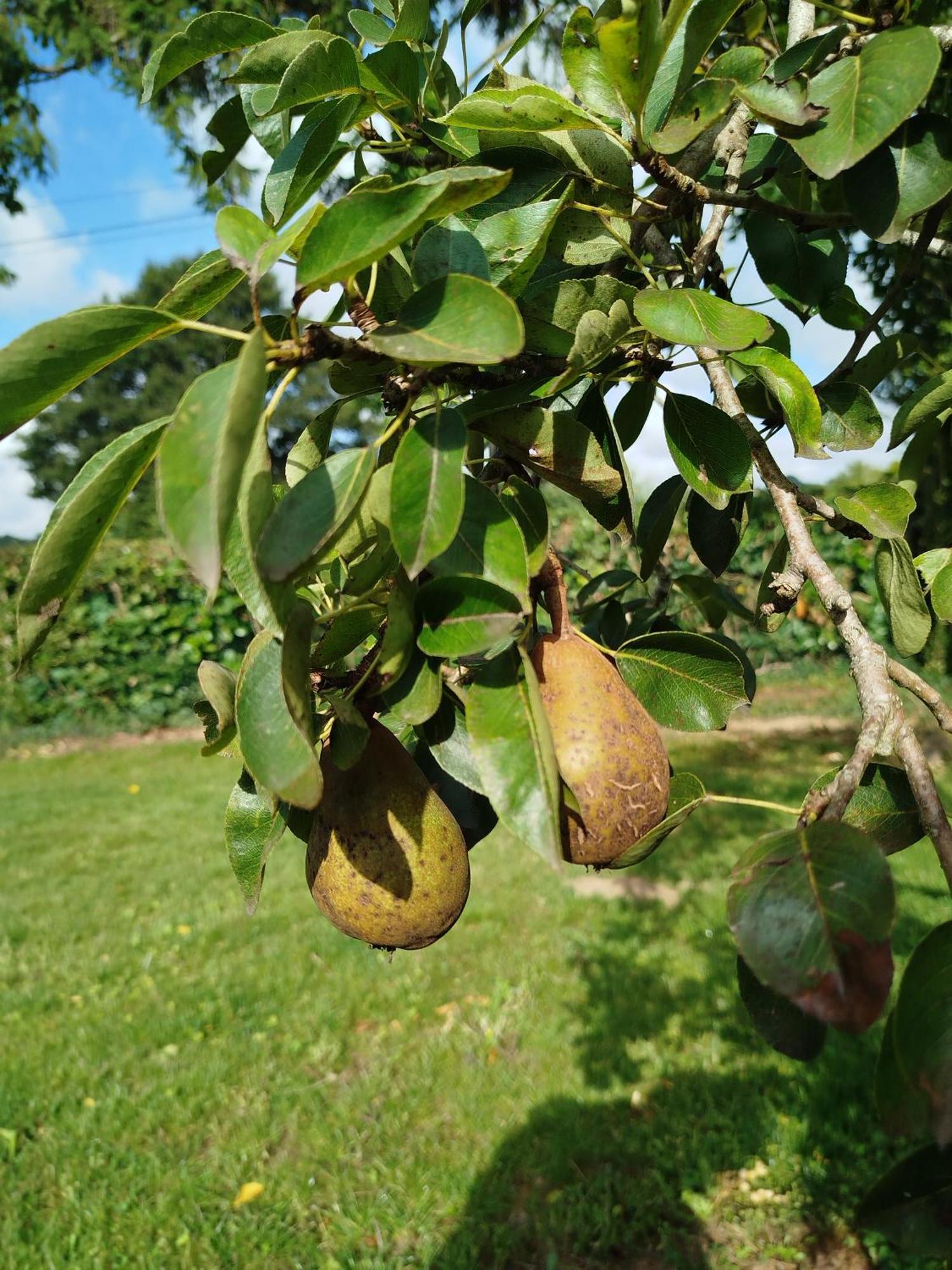 Le Gite De La Haie Portee Lignieres-Orgeres Luaran gambar
